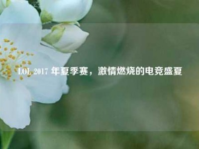 LOL 2017 年夏季赛，激情燃烧的电竞盛夏