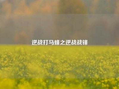 逆战打马蜂之逆战战锋