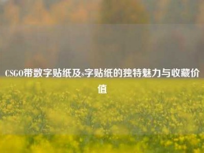 CSGO带数字贴纸及s字贴纸的独特魅力与收藏价值