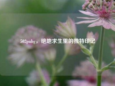 502pubg，绝地求生里的独特印记