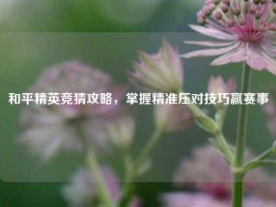 和平精英竞猜攻略，掌握精准压对技巧赢赛事