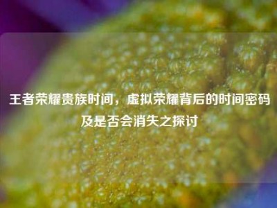 王者荣耀贵族时间，虚拟荣耀背后的时间密码及是否会消失之探讨