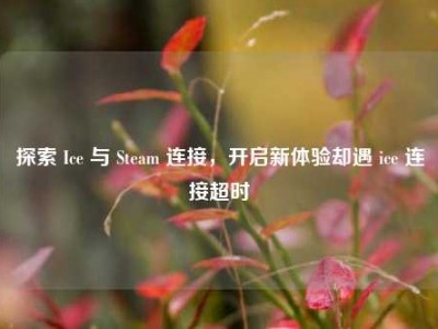 探索 Ice 与 Steam 连接，开启新体验却遇 ice 连接超时