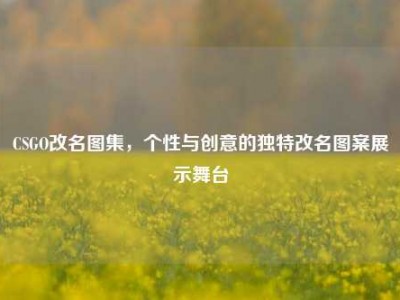 CSGO改名图集，个性与创意的独特改名图案展示舞台