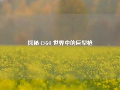 探秘 CSGO 世界中的巨型枪