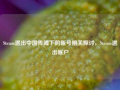 Steam退出中国传闻下的账号相关探讨，Steam退出账户