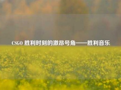 CSGO 胜利时刻的激昂号角——胜利音乐