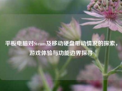 平板电脑对Steam及移动硬盘带动情况的探索，游戏体验与功能边界探寻