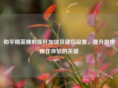 和平精英腰射摇杆加快及键位设置，提升游戏操作体验的关键