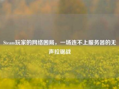 Steam玩家的网络困局，一场连不上服务器的无声拉锯战
