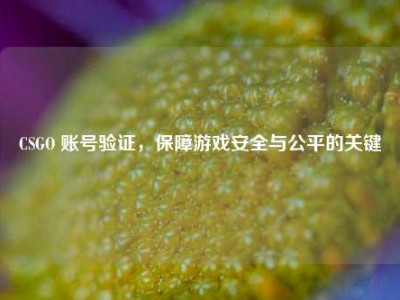 CSGO 账号验证，保障游戏安全与公平的关键