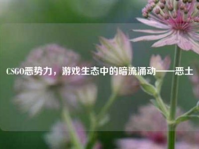 CSGO恶势力，游戏生态中的暗流涌动——恶土