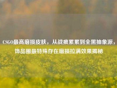 CSGO最高磨损皮肤，从战痕累累到全黑抽象派，饰品圈最特殊存在磨损拉满效果揭秘