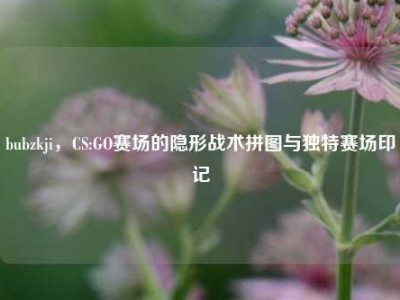 bubzkji，CS:GO赛场的隐形战术拼图与独特赛场印记