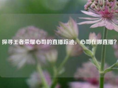 探寻王者荣耀心哥的直播踪迹，心哥在哪直播？