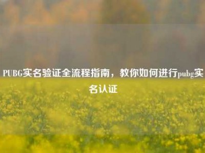PUBG实名验证全流程指南，教你如何进行pubg实名认证