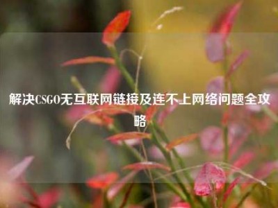 解决CSGO无互联网链接及连不上网络问题全攻略