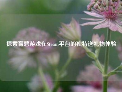 探索育碧游戏在Steam平台的独特送礼物体验