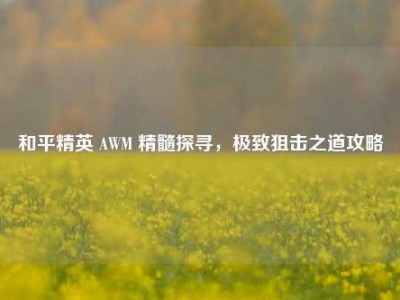 和平精英 AWM 精髓探寻，极致狙击之道攻略