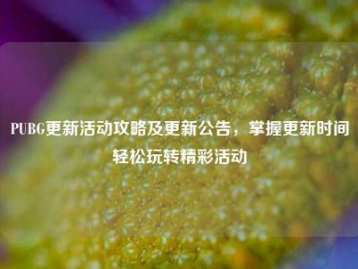 PUBG更新活动攻略及更新公告，掌握更新时间轻松玩转精彩活动