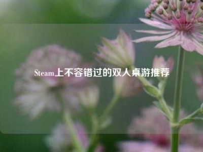 Steam上不容错过的双人桌游推荐