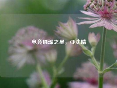 电竞璀璨之星，CF沈晴