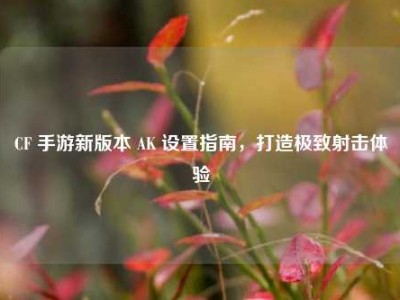 CF 手游新版本 AK 设置指南，打造极致射击体验