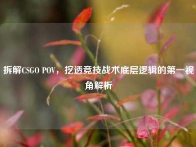 拆解CSGO POV，挖透竞技战术底层逻辑的第一视角解析