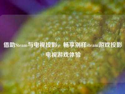 借助Steam与电视投影，畅享别样steam游戏投影电视游戏体验