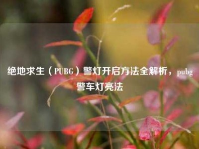 绝地求生（PUBG）警灯开启方法全解析，pubg警车灯亮法