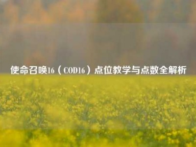 使命召唤16（COD16）点位教学与点数全解析