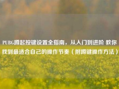 PUBG蹲起按键设置全指南，从入门到进阶 教你找到最适合自己的操作节奏（附蹲键操作方法）