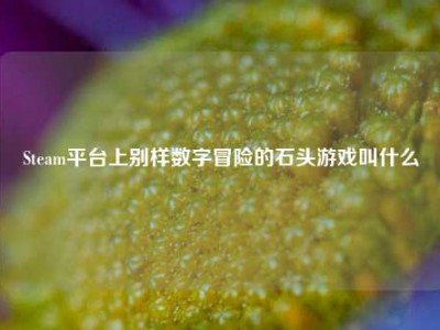 Steam平台上别样数字冒险的石头游戏叫什么