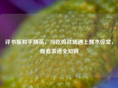 评书版和平精英，当吃鸡战场遇上醒木惊堂，观看渠道全知晓