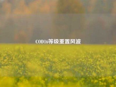COD16等级重置风波