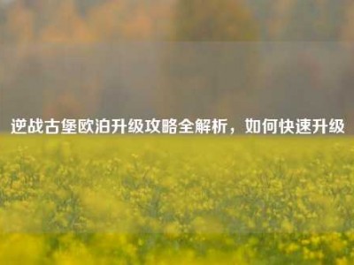 逆战古堡欧泊升级攻略全解析，如何快速升级