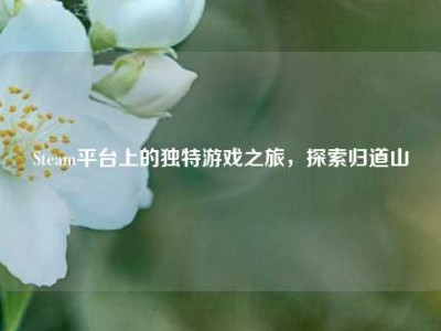 Steam平台上的独特游戏之旅，探索归道山