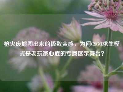 枪火废墟闯出来的极致爽感，为何CSGO求生模式是老玩家心底的专属展示舞台？