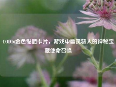 COD16金色骷髅卡片，游戏中幽灵骇人的神秘宝藏使命召唤