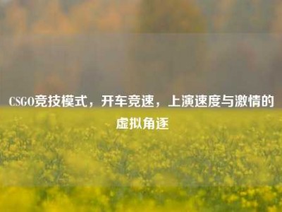 CSGO竞技模式，开车竞速，上演速度与激情的虚拟角逐