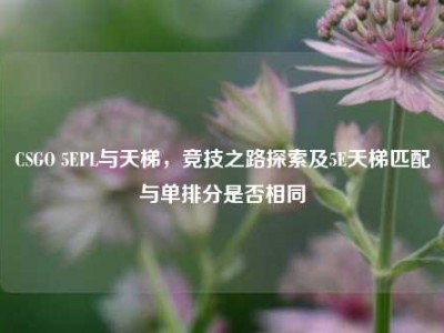 CSGO 5EPL与天梯，竞技之路探索及5E天梯匹配与单排分是否相同