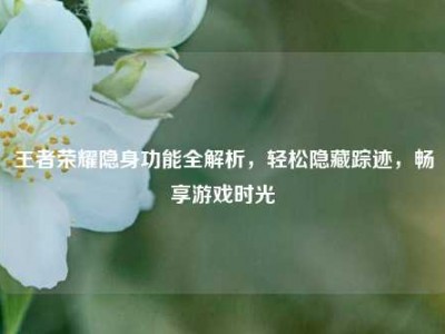 王者荣耀隐身功能全解析，轻松隐藏踪迹，畅享游戏时光