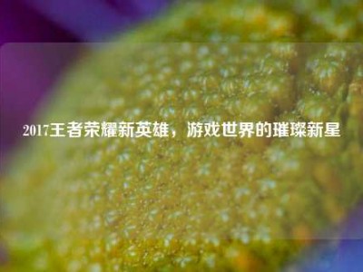 2017王者荣耀新英雄，游戏世界的璀璨新星