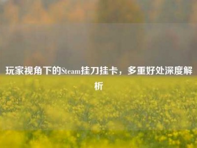 玩家视角下的Steam挂刀挂卡，多重好处深度解析