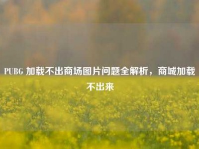 PUBG 加载不出商场图片问题全解析，商城加载不出来