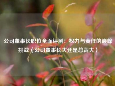 公司董事长职位全面评测：权力与责任的巅峰挑战（公司董事长大还是总裁大）