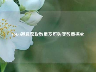 CSGO道具获取数量及可购买数量探究