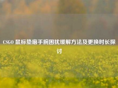 CSGO 鼠标垫磨手腕困扰缓解方法及更换时长探讨