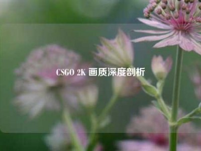 CSGO 2K 画质深度剖析