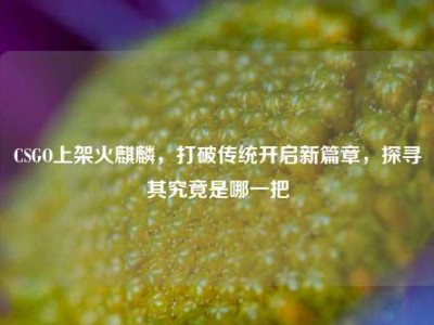 CSGO上架火麒麟，打破传统开启新篇章，探寻其究竟是哪一把